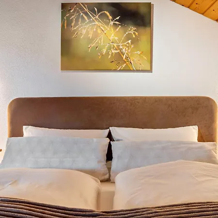 Apartment Allgaeuappartement In Pfronten